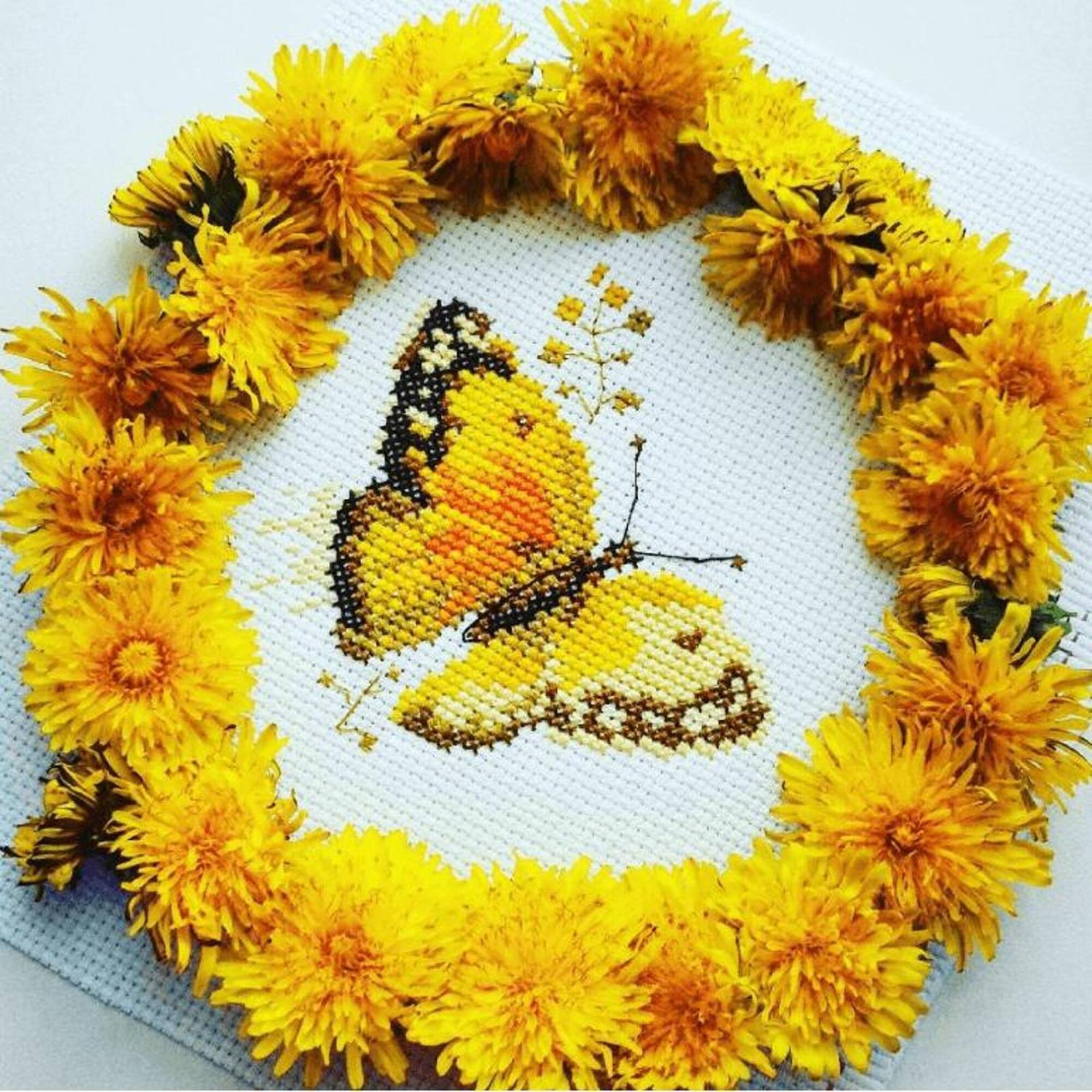 Alisa Colourful Butterflies - Yellow Cross Stitch Kit